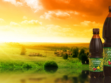 Таежная Русь